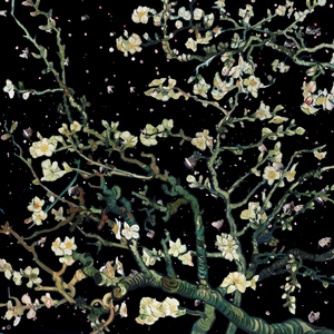 柳菁菁菁萃的图片100张最新
